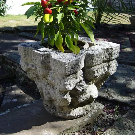 La Maison Pourpre