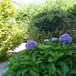 La Maison Pourpre